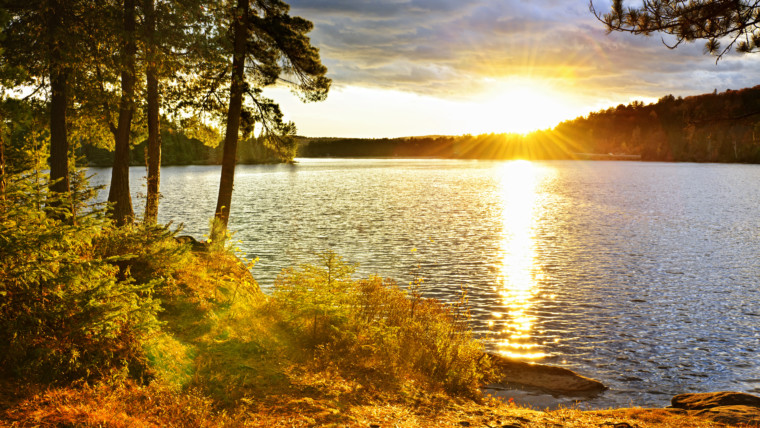 Genesis 30:1 – 31:16 | Bible Insights | The Old Testament