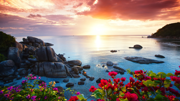 Matthew 14:13 – 36 | Bible Insights | The New Testament