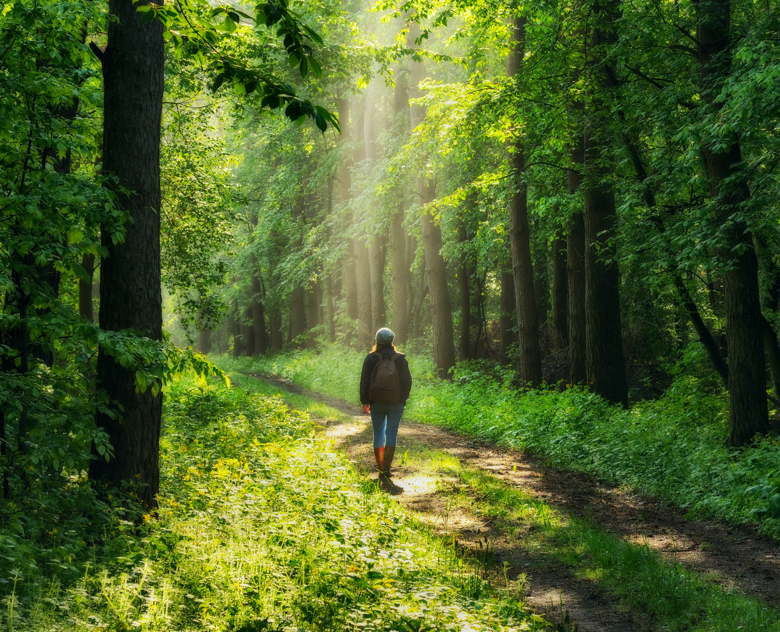 Mark 9:30 – 10:12 | The New Testament | Bible Insights