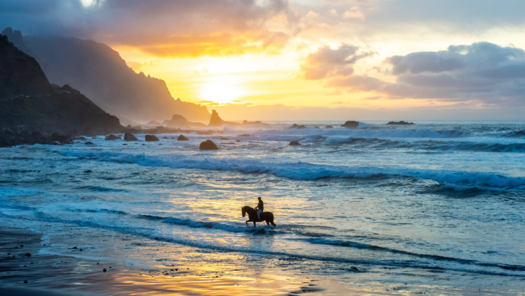 Mark 14:22 – 52 | The New Testament | Bible Insights