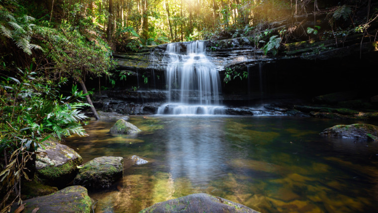 1 Samuel 5:1 – 7:17 | The Old Testament | Bible Insights