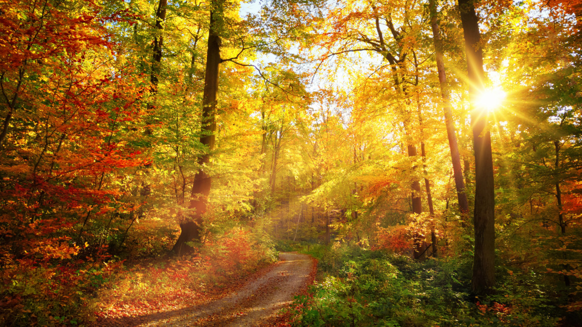 1 Samuel 12:1 – 13:22 | The Old Testament | Bible Insights