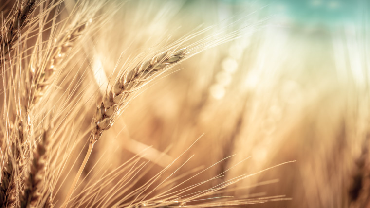 Acts 1:1 – 26 | The New Testament | Bible Insights