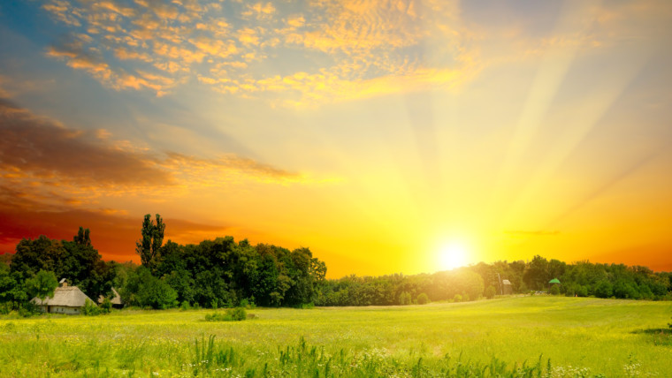 1 Kings 14:1 – 15:24 | The Old Testament | Bible Insights