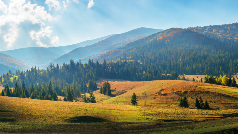 2 Kings 4:18 – 5:27 | The Old Testament | Bible Insights