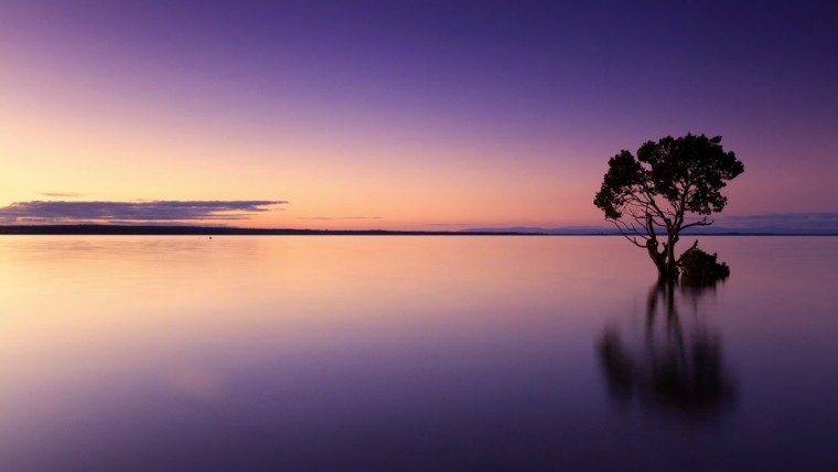 2 Kings 20:1-22:2 | The Old Testament | Bible Insights