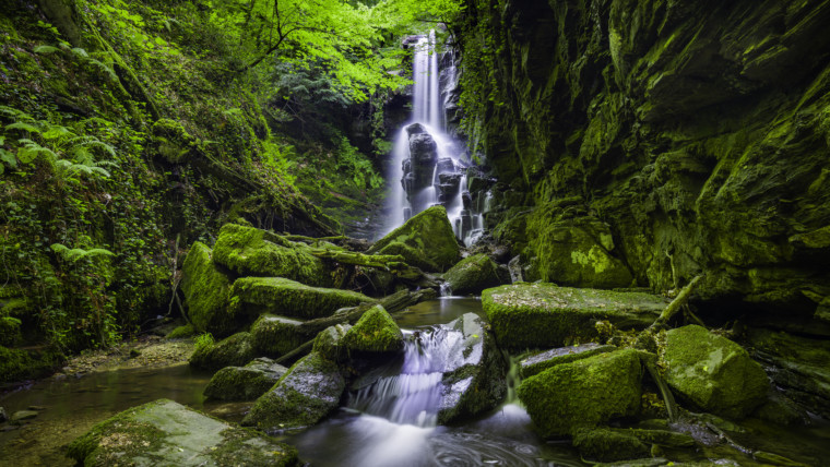 Romans 7:1-13 | The New Testament | Bible Insights