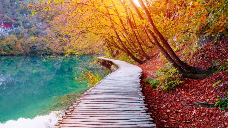 Romans 13:1-14 | The New Testament | Bible Insights