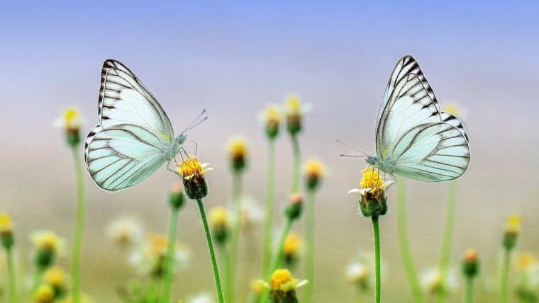 1 Corinthians 9:19-10:13 | The New Testament | Bible Insights