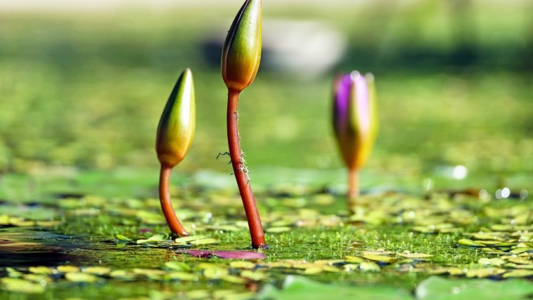 2 Thessalonians 2:1-17 | The New Testament | Bible Insights
